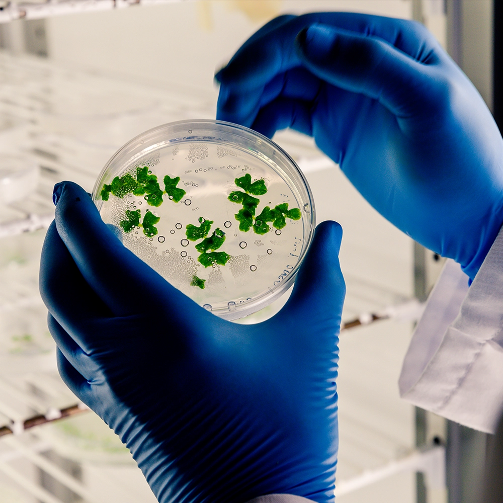 A bioética, a justiça e os limites orçamentários legítimos